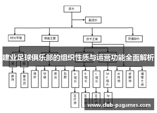 建业足球俱乐部的组织性质与运营功能全面解析 建业足球俱乐部的组织性质与运营功能全面解析